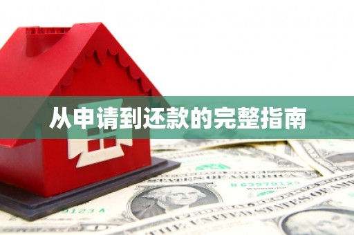 拉萨从申请到还款的完整指南