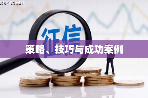 拉萨策略、技巧与成功案例