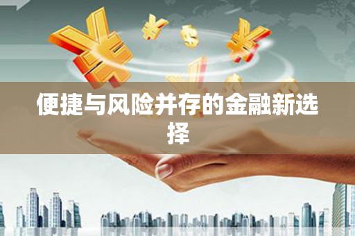 拉萨便捷与风险并存的金融新选择