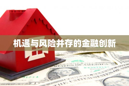 拉萨机遇与风险并存的金融创新