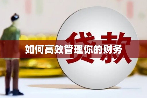 拉萨如何高效管理你的财务