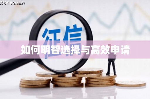 拉萨如何明智选择与高效申请