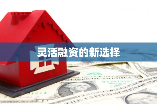 拉萨灵活融资的新选择