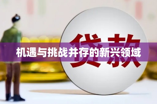 拉萨机遇与挑战并存的新兴领域