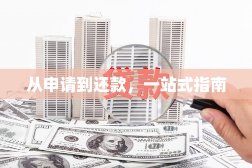 拉萨从申请到还款，一站式指南