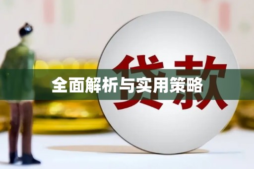 拉萨全面解析与实用策略