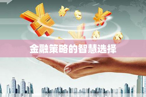 拉萨金融策略的智慧选择