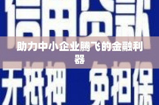 拉萨助力中小企业腾飞的金融利器