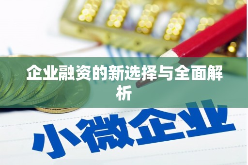 拉萨企业融资的新选择与全面解析