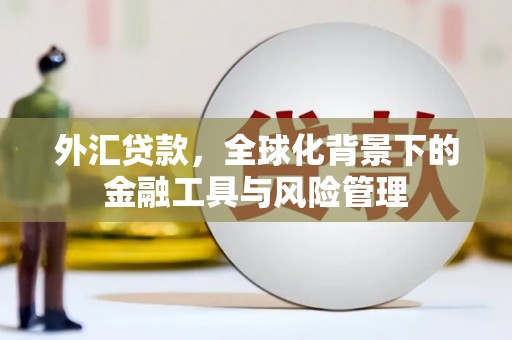 拉萨外汇贷款，全球化背景下的金融工具与风险管理