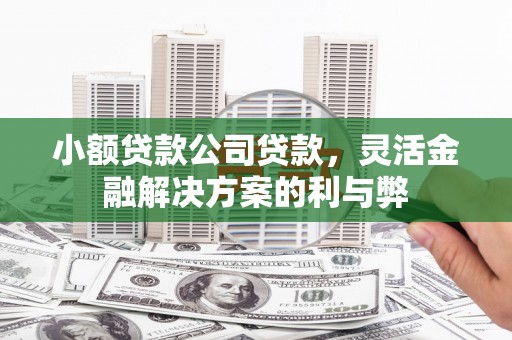 拉萨小额贷款公司贷款，灵活金融解决方案的利与弊